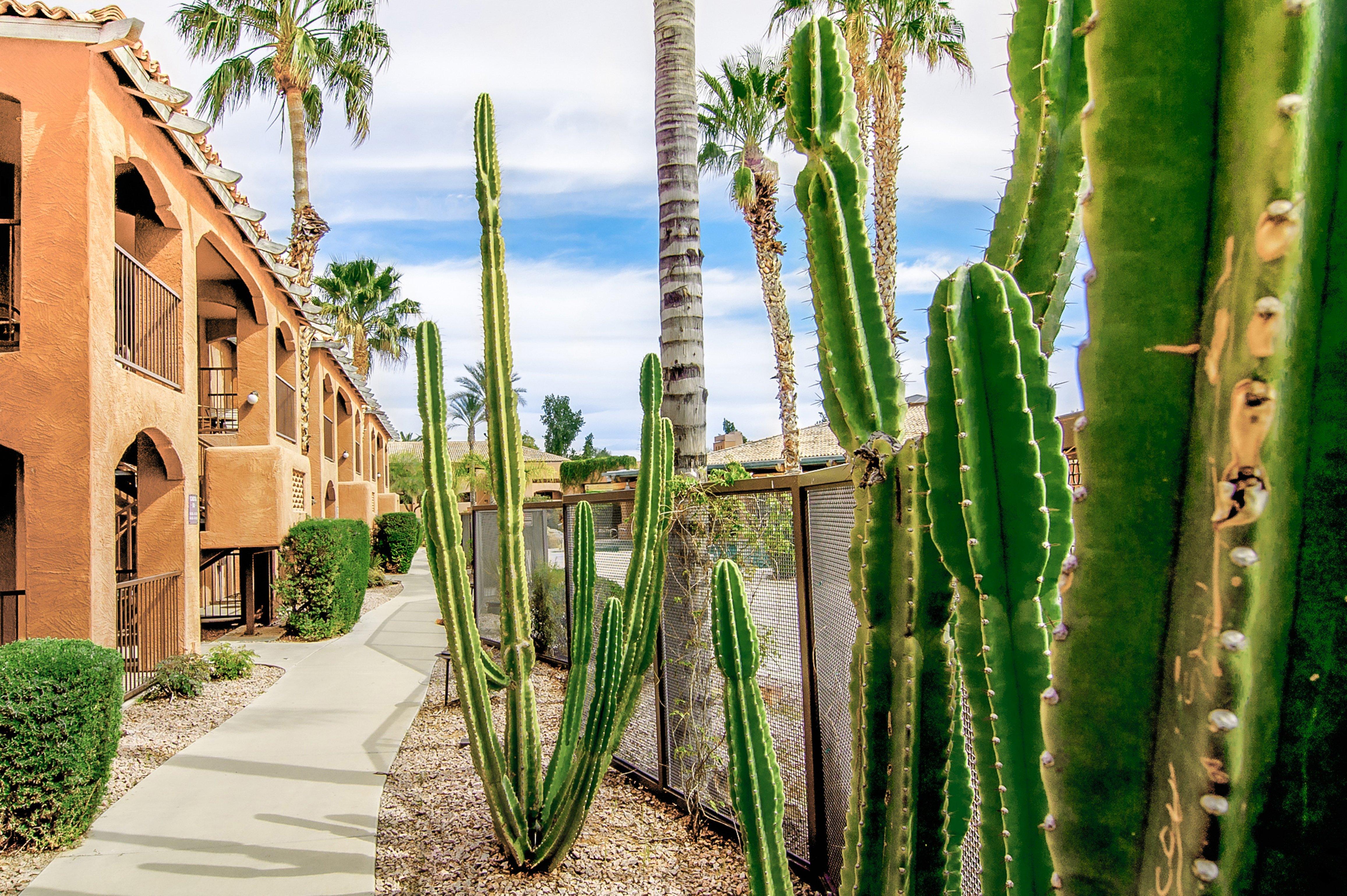 Holiday Inn Club Vacations Scottsdale Resort Esterno foto